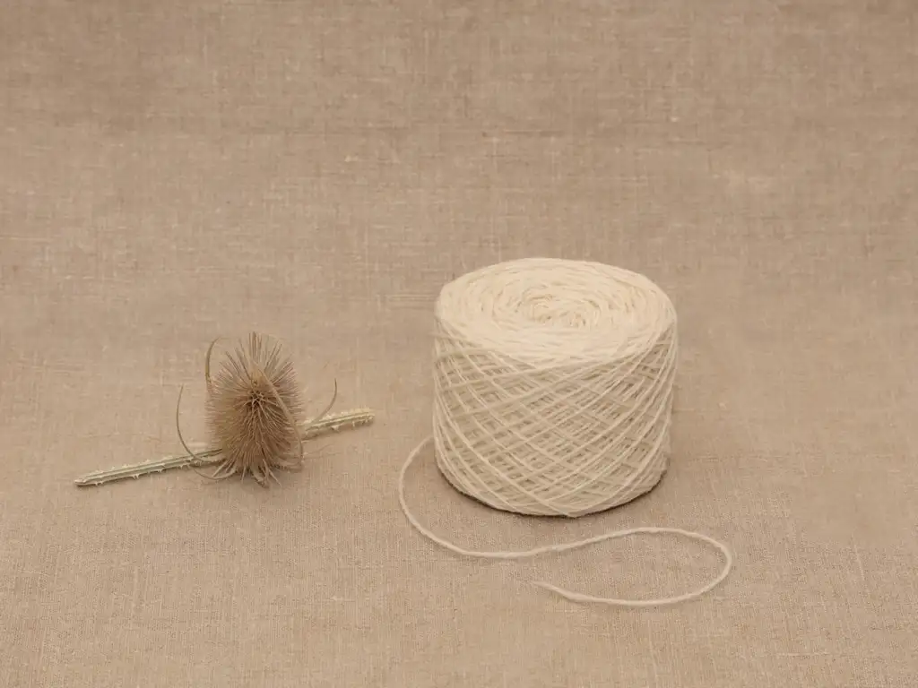 Mérinos Blanche Fingering - Pelotes 50g