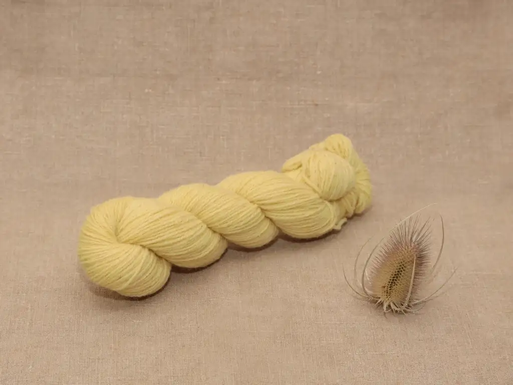Mérinos Fingering - Echeveau 50g
