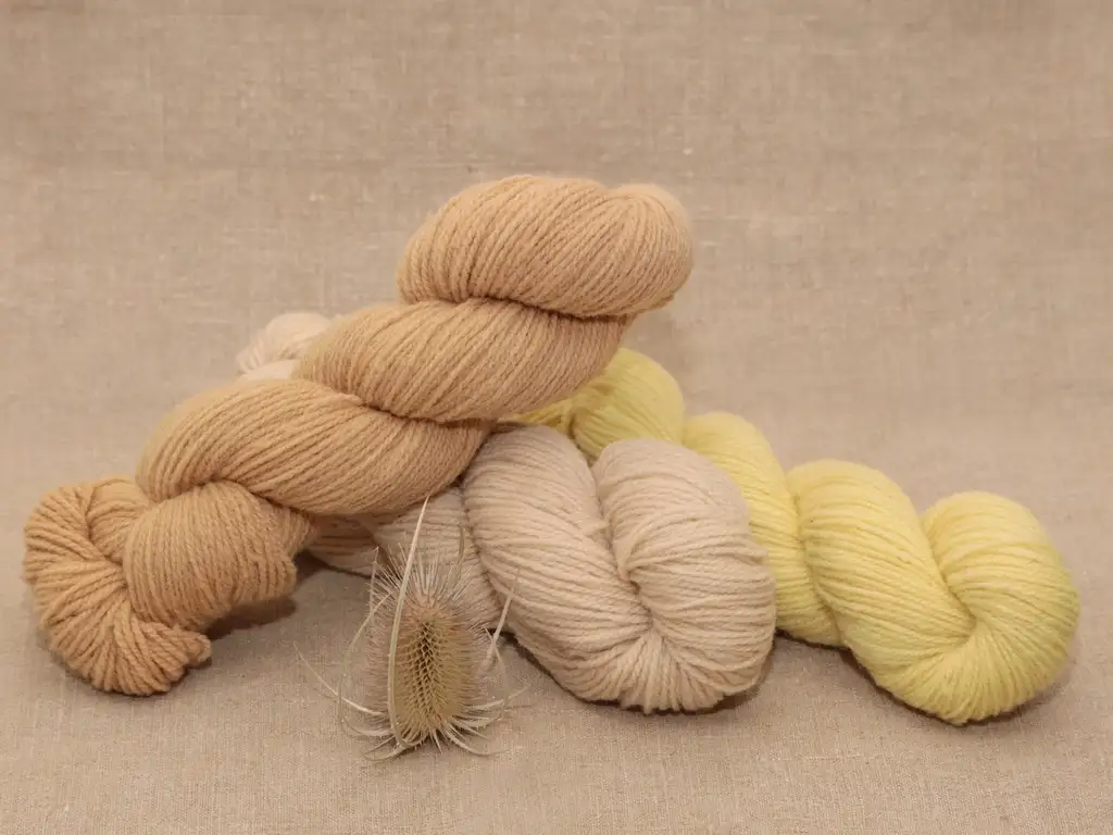 Mérinos Fingering - Echeveau 50g