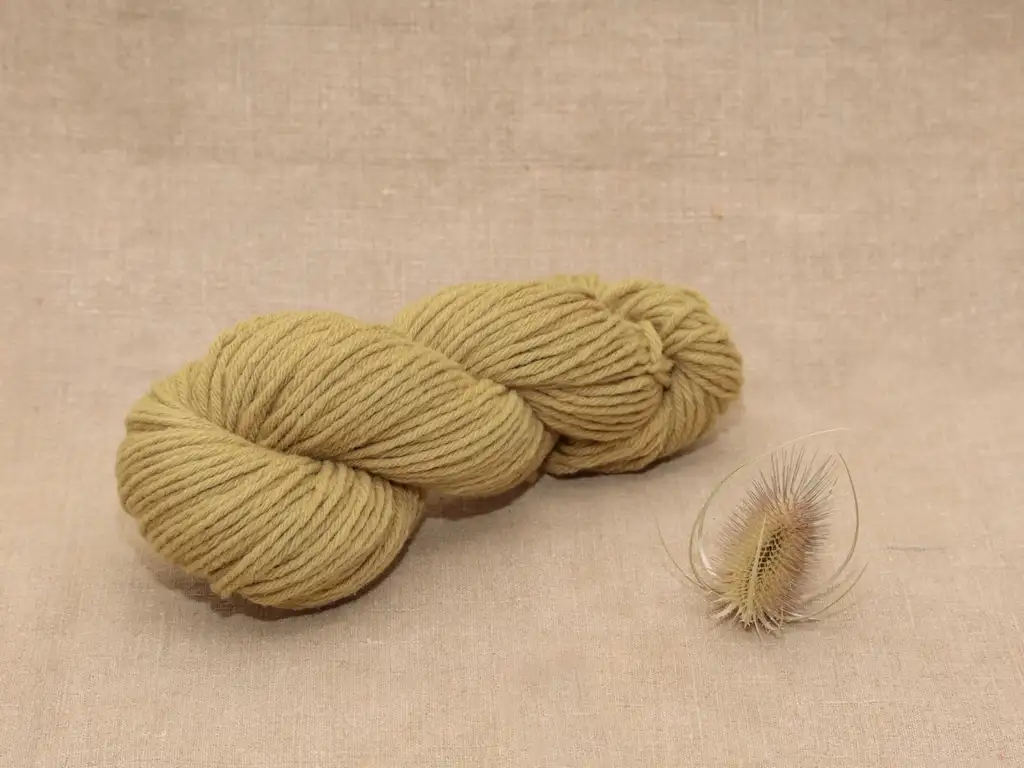 Mérinos Aran - Echeveau 100 g