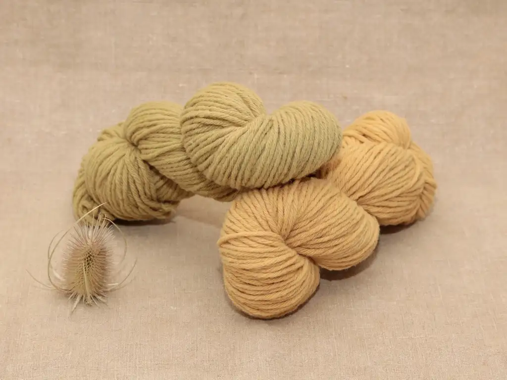 Mérinos Aran - Echeveau 100 g