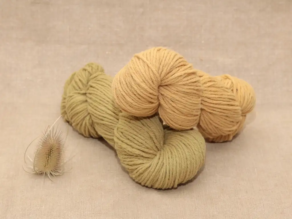 Mérinos Aran - Echeveau 100 g