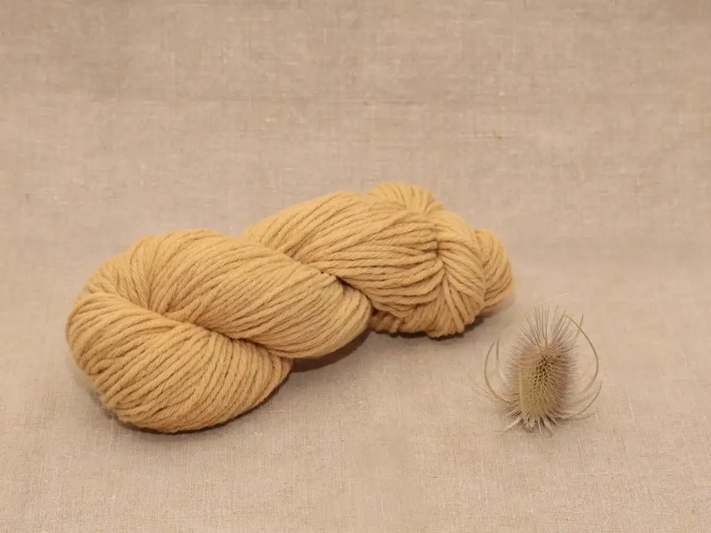 Mérinos Aran - Echeveau 100 g