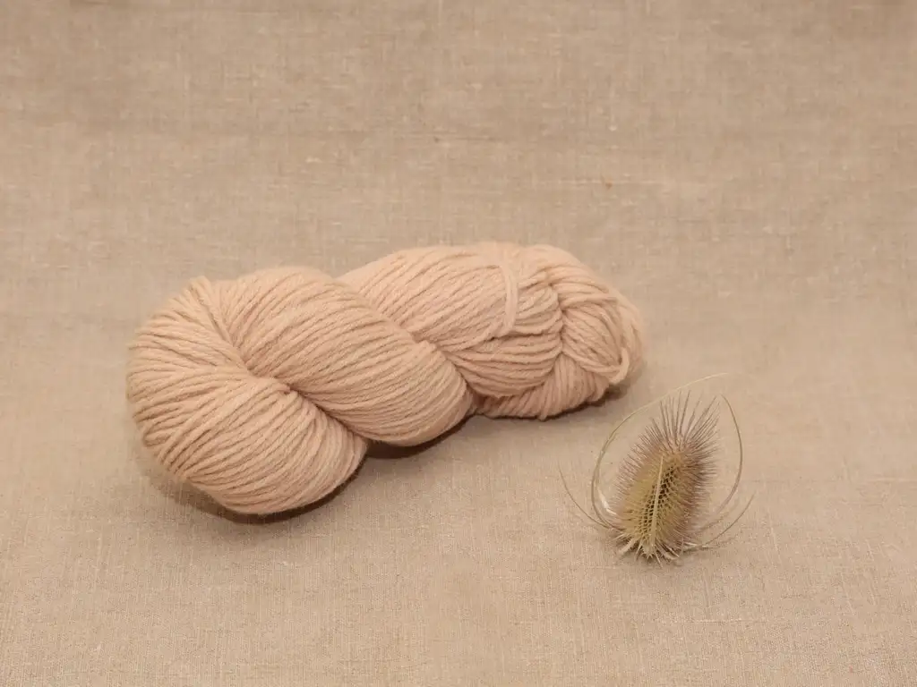 Mérinos DK - Echeveau 100g